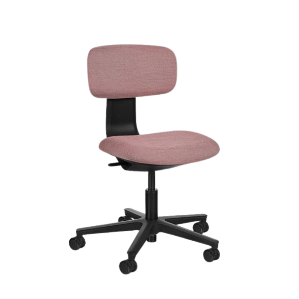 Ergonoomiline tool Robin, must raam